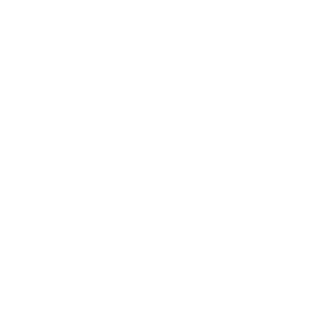 White calendar check vector